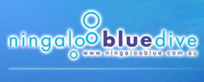Ningaloo Blue Dive - Accommodation Port Hedland 0