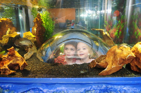 Scitech - Accommodation Port Hedland 3