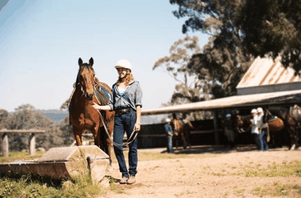 Watsons Trail Rides - Accommodation Port Hedland