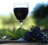 Lion Mill Vineyards - Accommodation Port Hedland