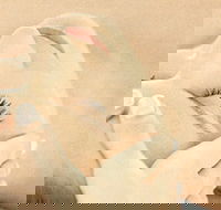 The Golden Door Spa  Health Club at Mirage Resort - Accommodation Port Hedland