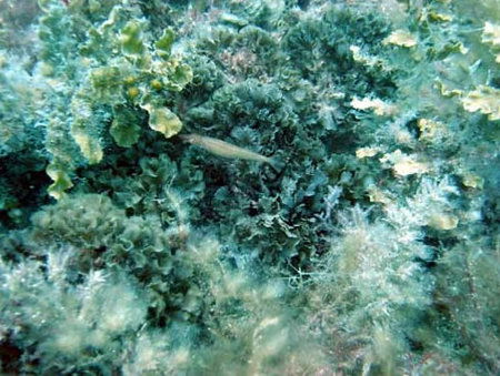 Underwater Sports Diving Centre - Accommodation Port Hedland 3