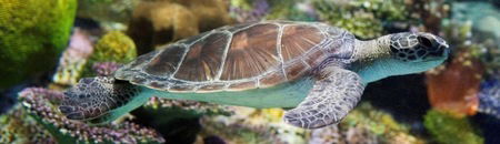 Melbourne Aquarium - Accommodation Port Hedland 1