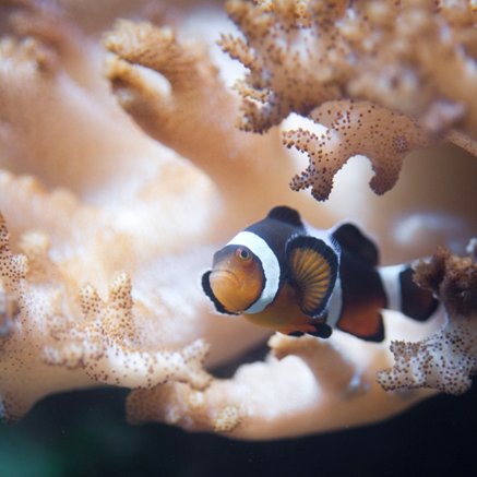 Melbourne Aquarium - Accommodation Port Hedland 2