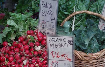 Collingwood Children's Farm - Accommodation Port Hedland 1