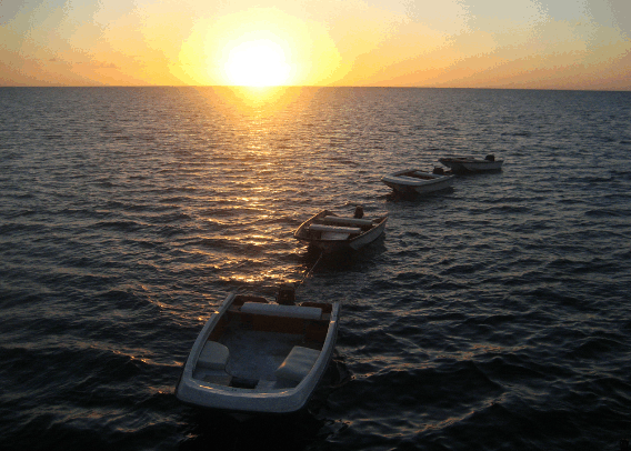 Carlo Fishing Charters - Accommodation Port Hedland 2