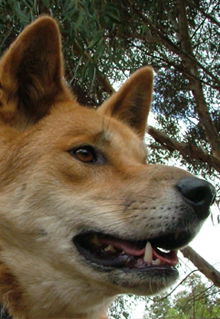 Armadale Reptile & Wildlife Centre - Accommodation Port Hedland 5