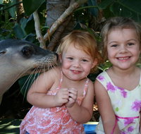 Dolphin Marine Magic - Accommodation Port Hedland