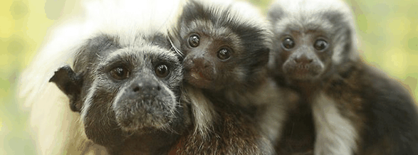 Alma Park Zoo - Accommodation Port Hedland 3