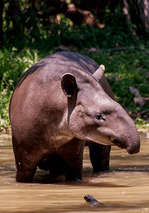 Alma Park Zoo - Accommodation Port Hedland 4