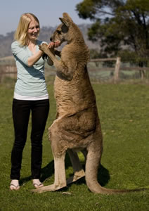 Zoo Doo Wildlife Park - Accommodation Port Hedland 5