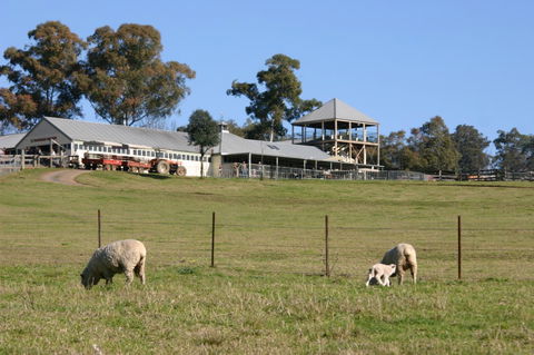 Calmsley Hill City Farm - Accommodation Port Hedland 3