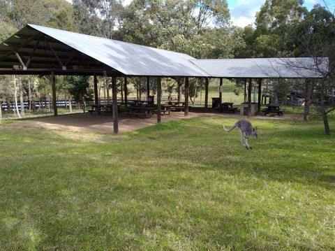 Calmsley Hill City Farm - Accommodation Port Hedland 5