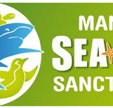 Manly SEA LIFE Sanctuary - Accommodation Port Hedland