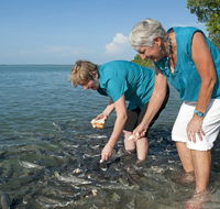 Aquascene Fish Feeding Sanctuary - Accommodation Port Hedland