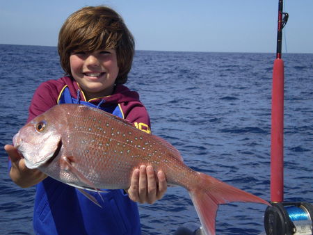 Mills Charters Fishing And Whale Watch Cruises - Accommodation Port Hedland 4