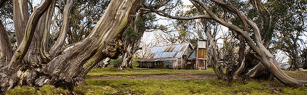 High Country Scenic Tours - Accommodation Port Hedland