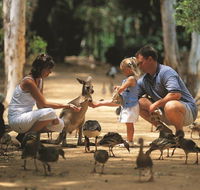Billabong Sanctuary - Accommodation Port Hedland