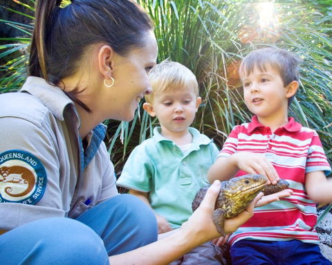 David Fleay Wildlife Park - Accommodation Port Hedland 3