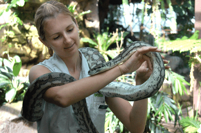 Cairns Wildlife Dome - Accommodation Port Hedland 2
