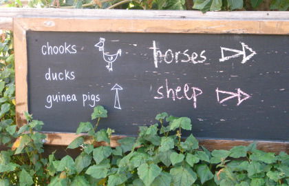 Collingwood Children's Farm - Accommodation Port Hedland 4