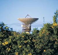 Big Dish - Accommodation Port Hedland