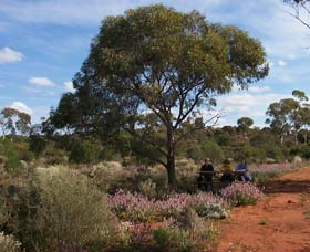 Karlkurla Bushland Park - Accommodation Port Hedland 0