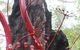 Understory Art In Nature - thumb 0