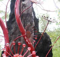 Understory Art In Nature - Accommodation Port Hedland