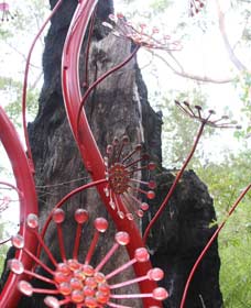 Understory Art In Nature - Accommodation Port Hedland 0