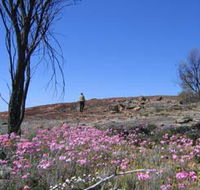 Talgomine Reserve - Accommodation Port Hedland