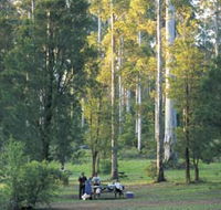 Big Brook Arboretum - Accommodation Port Hedland