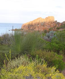 Meelup Trail - Accommodation Port Hedland 0