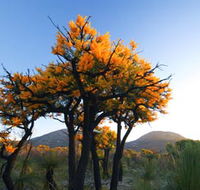 Cape Le Grand National Park - Accommodation Port Hedland