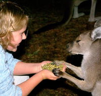 Discovery Bay's Walk on the Wild Side - Accommodation Port Hedland
