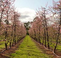 Raeburn Orchards - Accommodation Port Hedland
