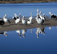 Peel Region Canoe Trails - Accommodation Port Hedland