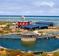 Ocean Park Aquarium - Accommodation Port Hedland