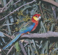 King River - Accommodation Port Hedland