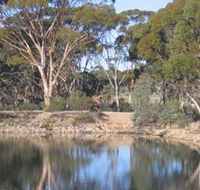 Merredin Railway Dam - Accommodation Port Hedland