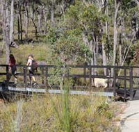Forest Path Crooked Brook - Accommodation Port Hedland