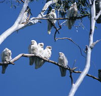 Carawine Gorge - Accommodation Port Hedland