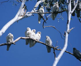 Carawine Gorge - Accommodation Port Hedland 0