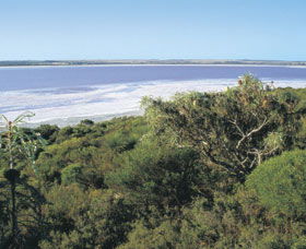 Pink Lake - Accommodation Port Hedland 0