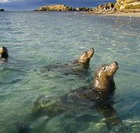 Shoalwater Islands Marine Park - Accommodation Port Hedland