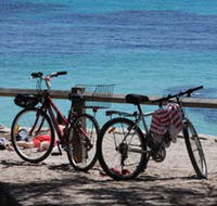 Parker Point Marine Snorkel Trail - Accommodation Port Hedland