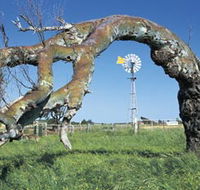 Greenough Leaning Trees - Accommodation Port Hedland