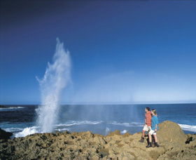 The Blowholes Carnarvon - Accommodation Port Hedland 0