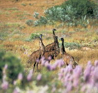 Jurabi Coastal Reserve - Accommodation Port Hedland