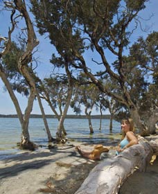 Stokes National Park - Accommodation Port Hedland 0